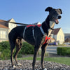 Customer Focus: Our Story - Rosie