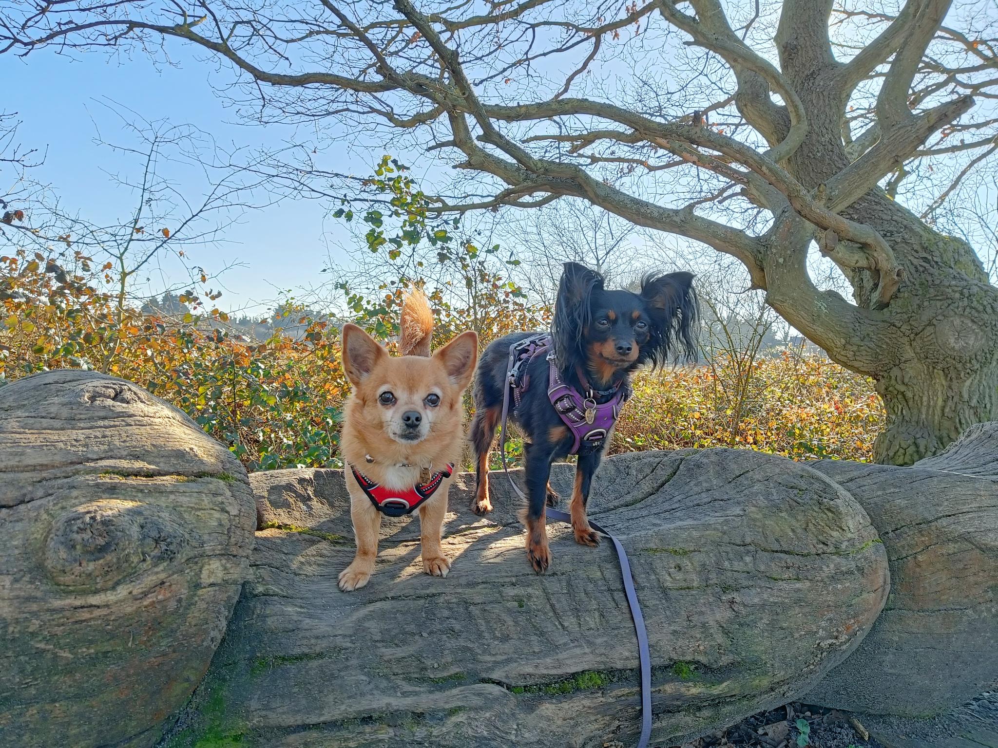 Customer Focus: Our Story - Milo and Lena