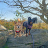 Customer Focus: Our Story - Milo and Lena