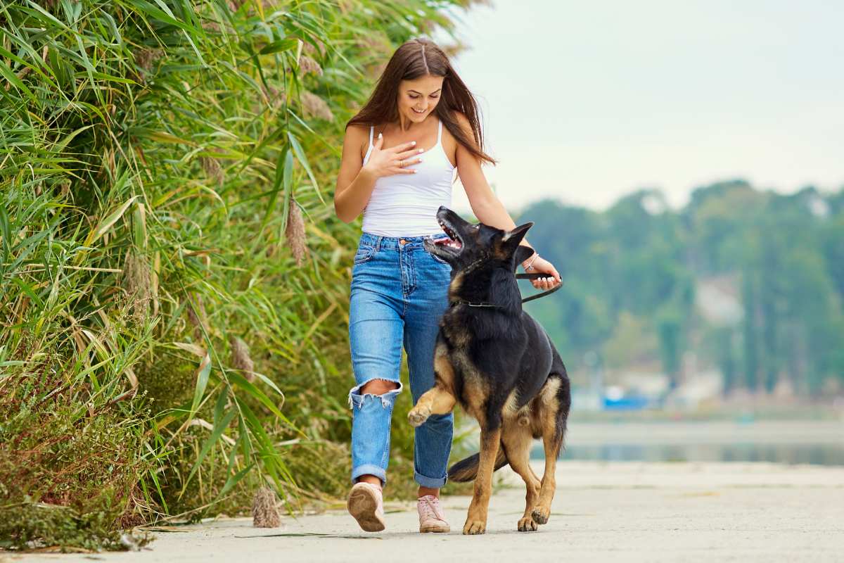 How To Make Dog Walks More Interesting