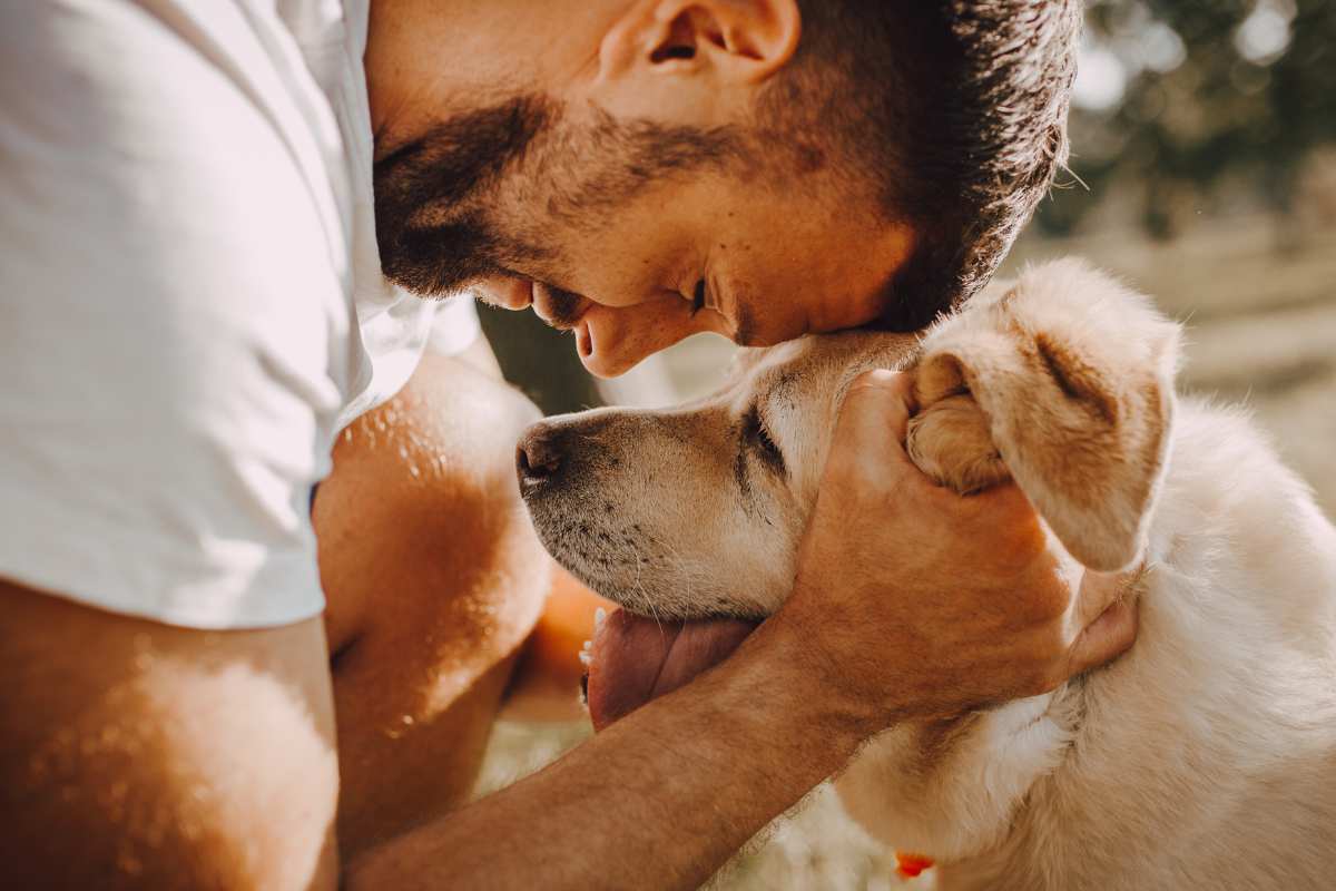 Tips For Walking An Older Dog