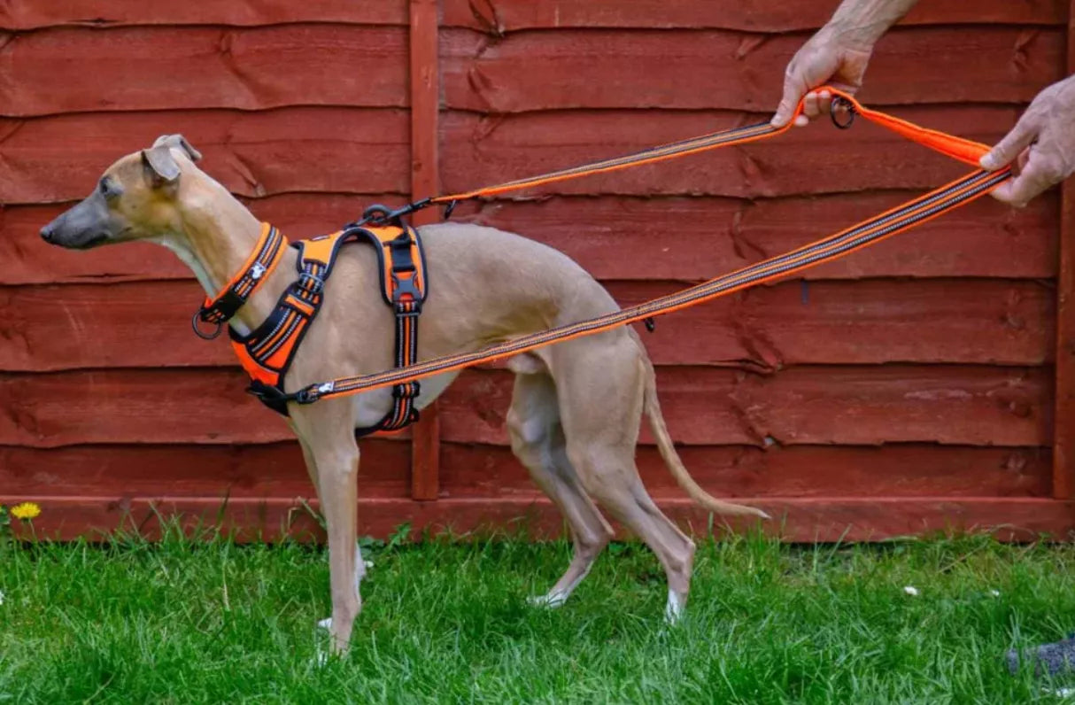 How Can I Use My Double Ended Dog Lead
