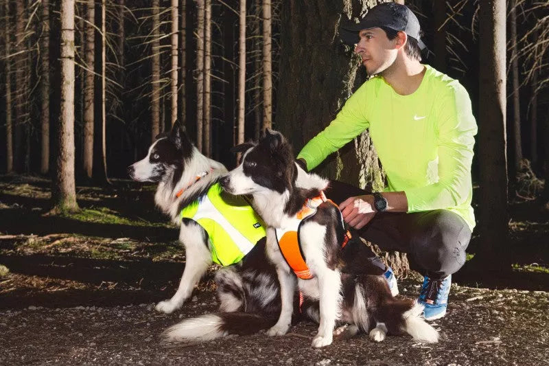 High Visibility Options For Me and My Dog