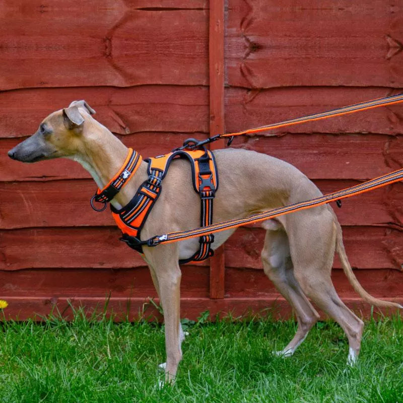 No pull leads clearance