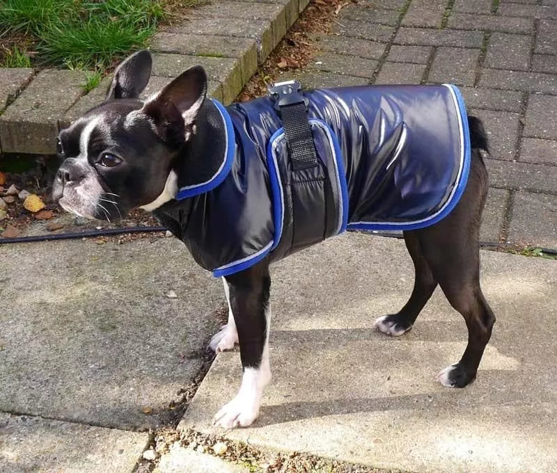Waterproof Dog Coat With Underbelly Protection UK Shipped wiggles
