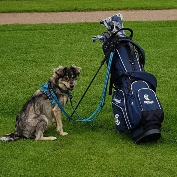 Double Ended Dog Lead Double Clip Training Lead Ships From The UK