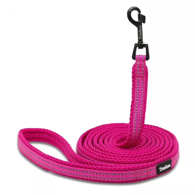 Puppy Leads | Truelove