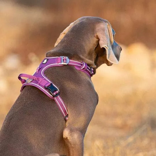 Dog Harness Not Over Head TLH56512 Shipped From UK Wiggles and Wags