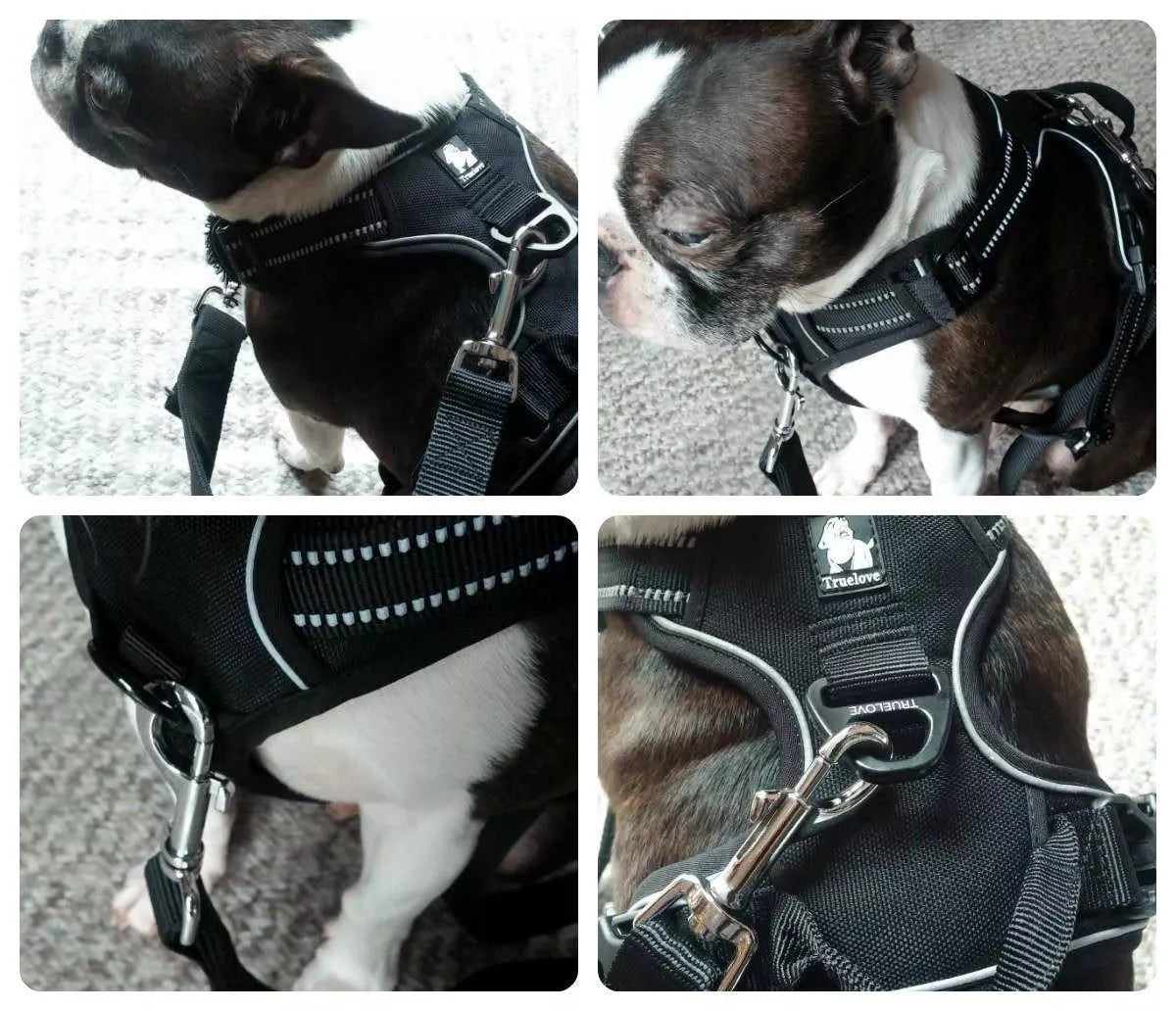 How to attach a double ended dog lead to a harness