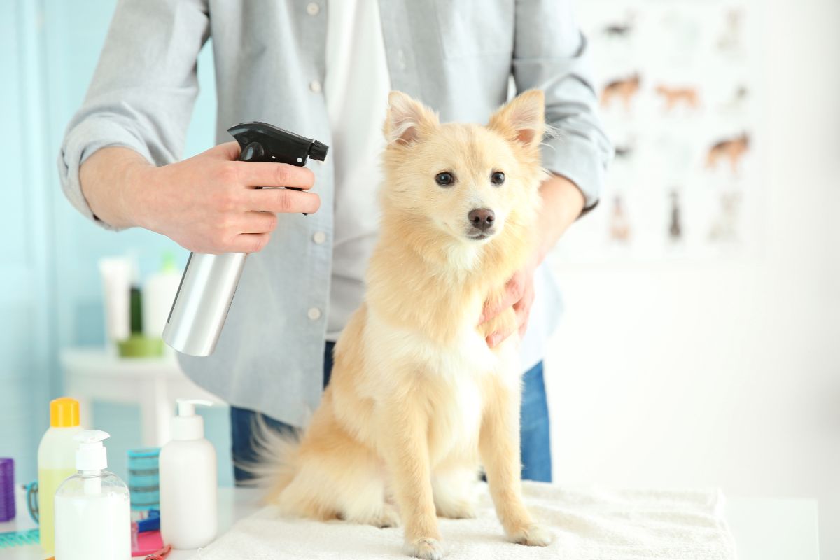 How do dog deodoriser sprays work