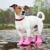 dog wearing pink boots