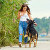 How To Make Dog Walks More Interesting