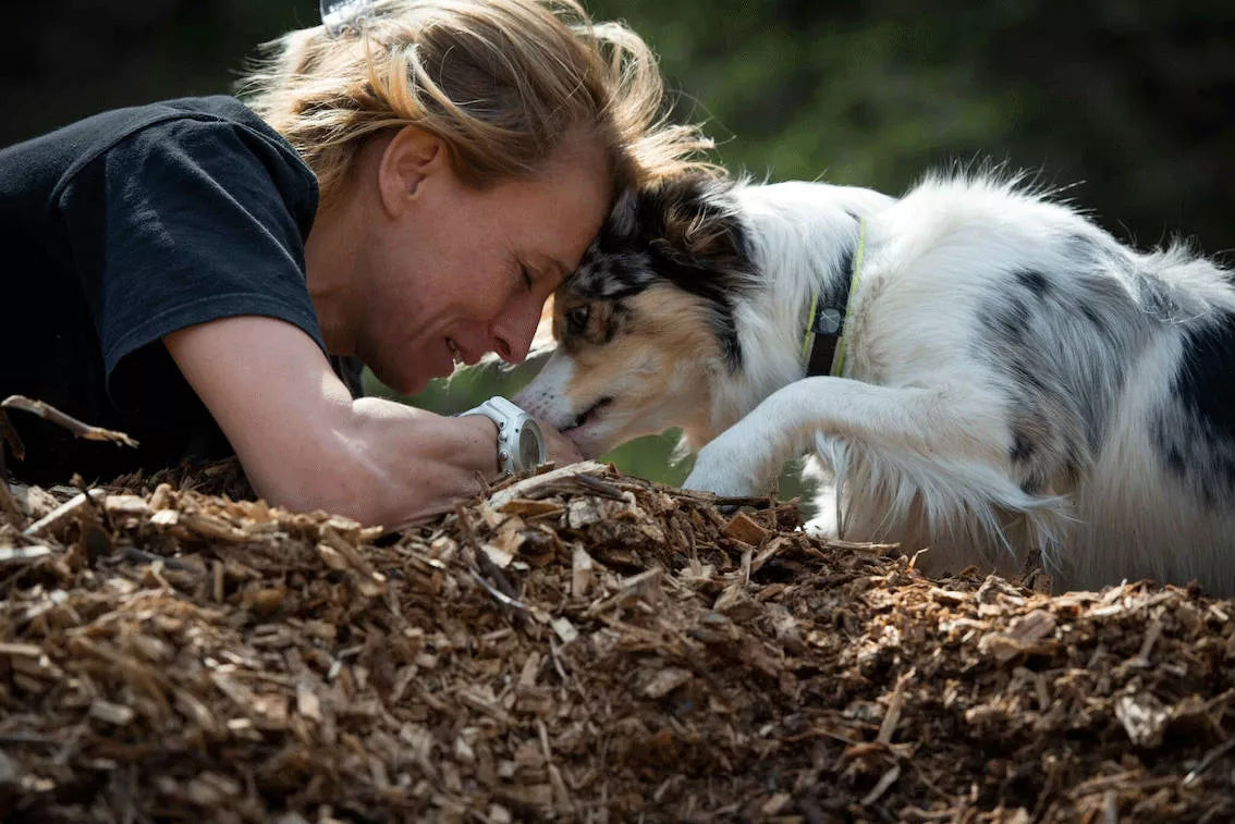 The Best Ways To Bond With My Dog - Our top 10