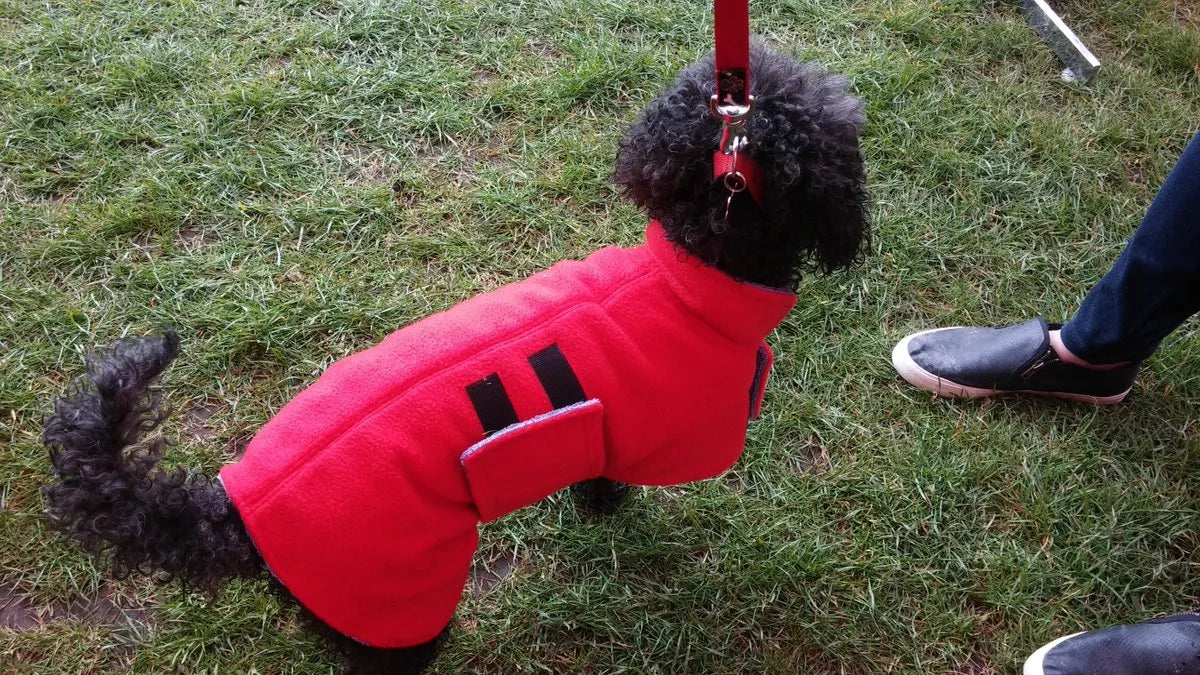 Dog drying fleece online