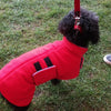 Which Type of Dog Drying Coat Is Best