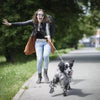 How To Stop My Dog Pulling On The Lead