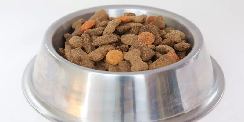 What is in Dry Dog Food