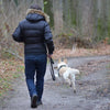 Running With Your Dog - What You Need To Know
