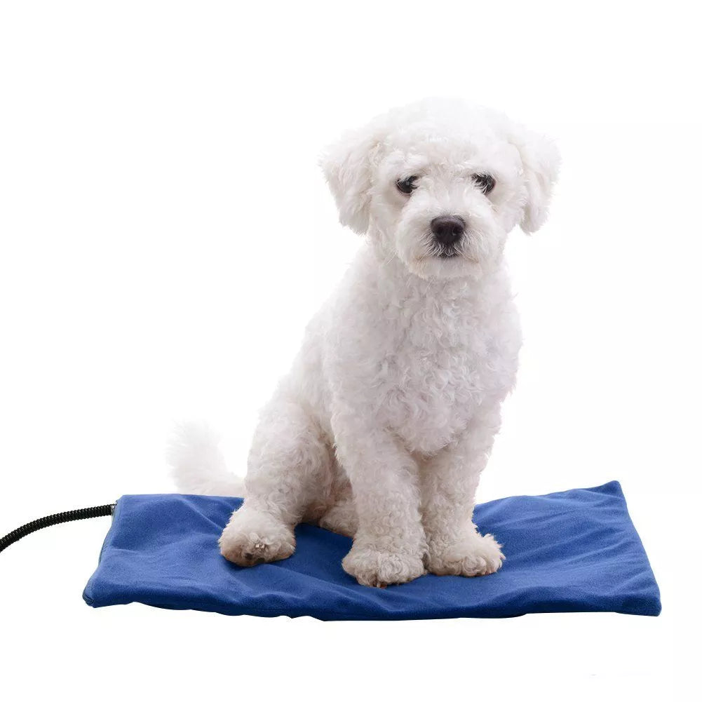Are Electric Heat Pads Safe For My Dog Or Cat