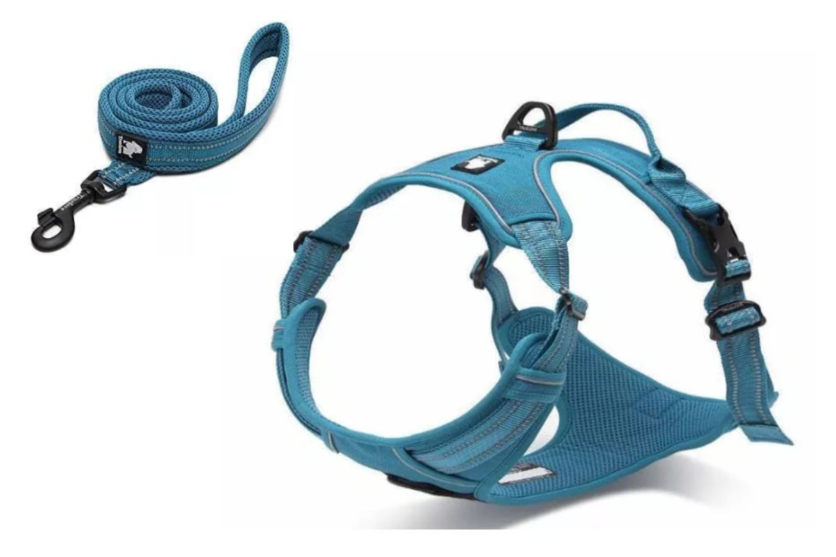 Dog Harness and Lead Set UK Shipped wiggles and wags