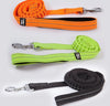 bungee dog leash range