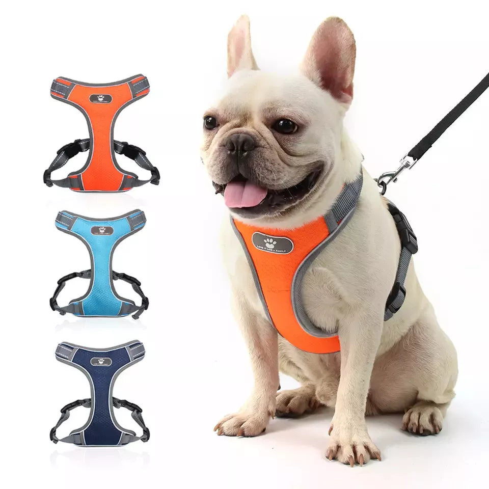 French bulldog harness | UK Shipped | Frenchie Harness – wiggles and wags