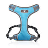 light blue harness for french bulldog