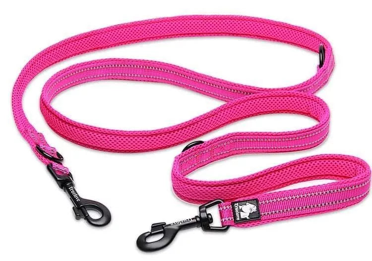Double loop dog hot sale leash
