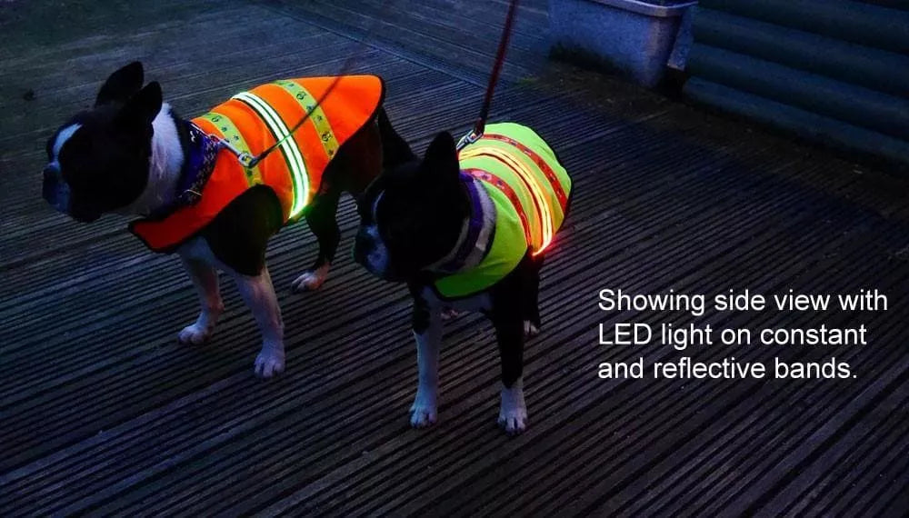Caution I Bite Reflective High Visibility (Hi Vis) Night Safety Neon Dog Bandana (Assorted Colors