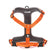 orange harness with padded chest plate and LED light loop