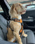 dog wearing true love orange dog harness TLH5651