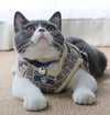 cat wearing cat harness