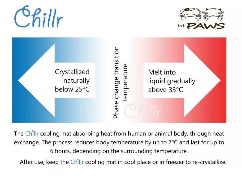 Chillr dog best sale cooling mat