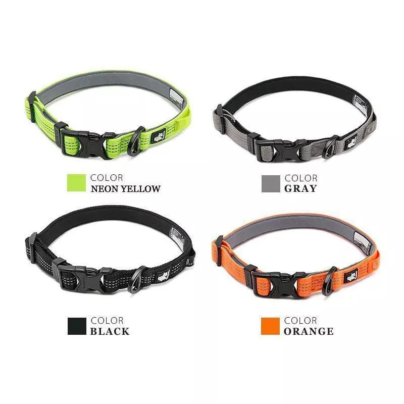 Dollar store top dog collars