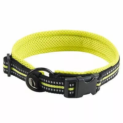 Large Dog Collars wiggles and wags