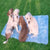 dogs on cooling mat