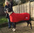 great dane with very large red drying coat