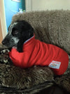red coat as the dog dries