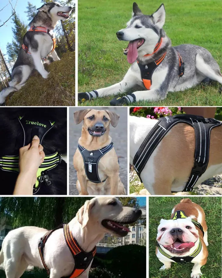 Large Dog Harness XL Sizes Heavy Duty UK Shipped wiggles