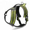 Truelove green dog harness TLH5551 for large dog breeds