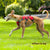 dog harness with three straps red