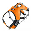 running hiking dog harness orange