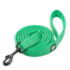 Truelove dog lead green