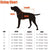 size guide for waterproof dog coats