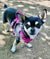 pink dog harness for chihuahua