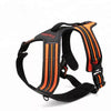 Truelove orange dog harness TLH5551 for large dog