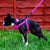 pink truelove step in dog harness TLH5991
