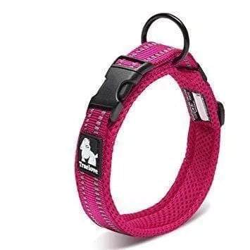 Best collar 2024 for large dogs