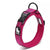 high vis dog collar pink