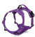 Truelove purple dog harness with front clip